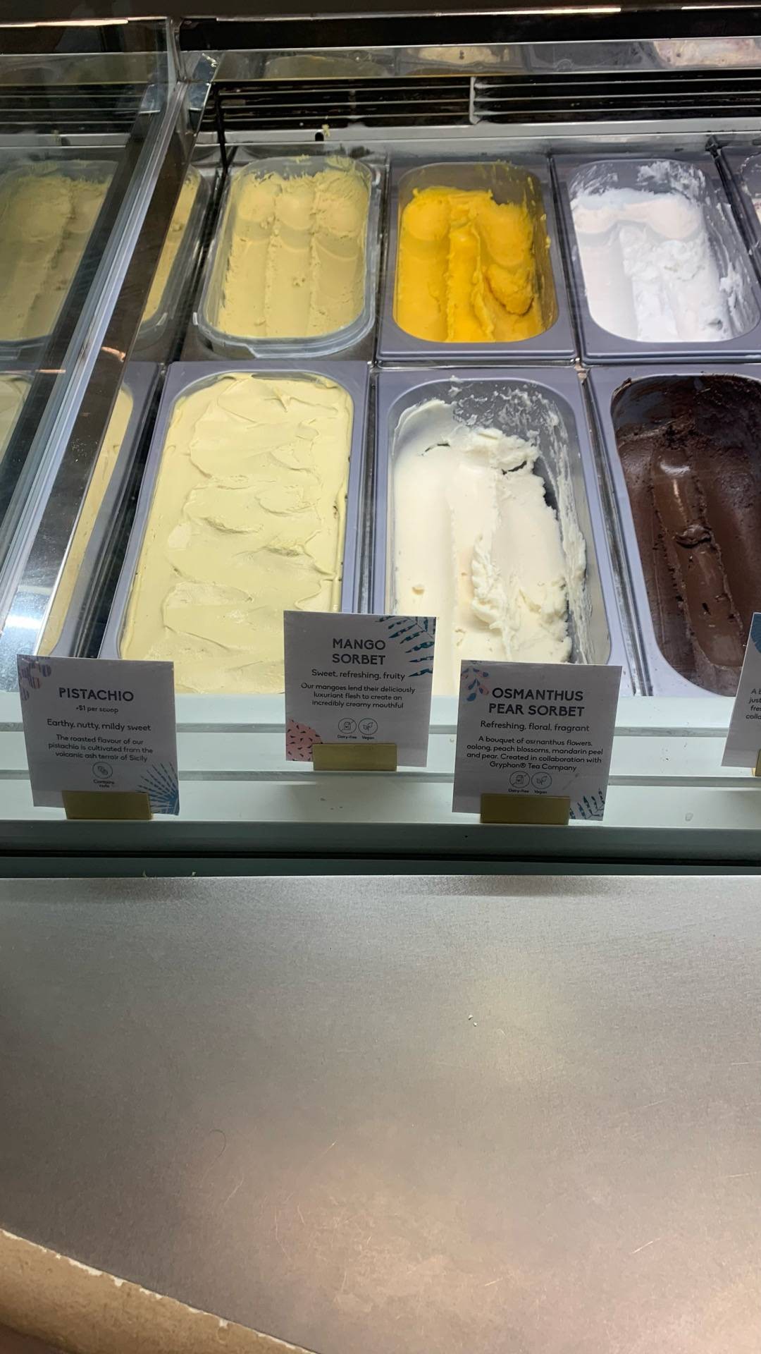 ร้าน Bird Of Paradise Gelato Boutique Jewel รีวิวร้านอาหาร