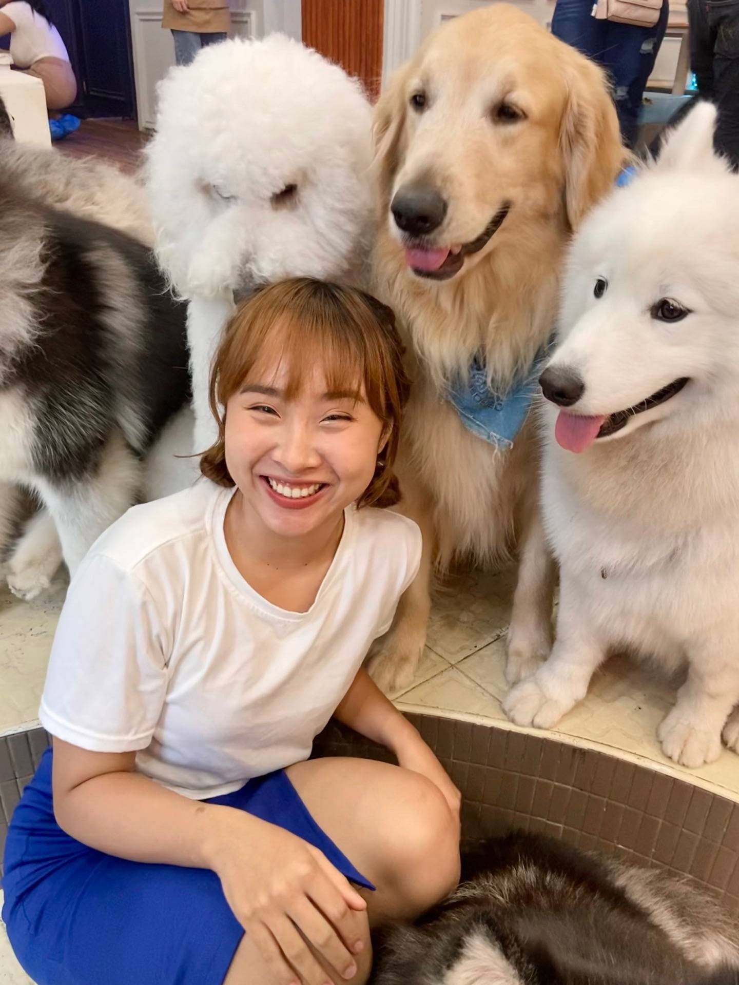 รีวิว ฮัสกี้เฮ้าส์คาเฟ่ บางแสน คาเฟ่หมาบางแสน Husky House