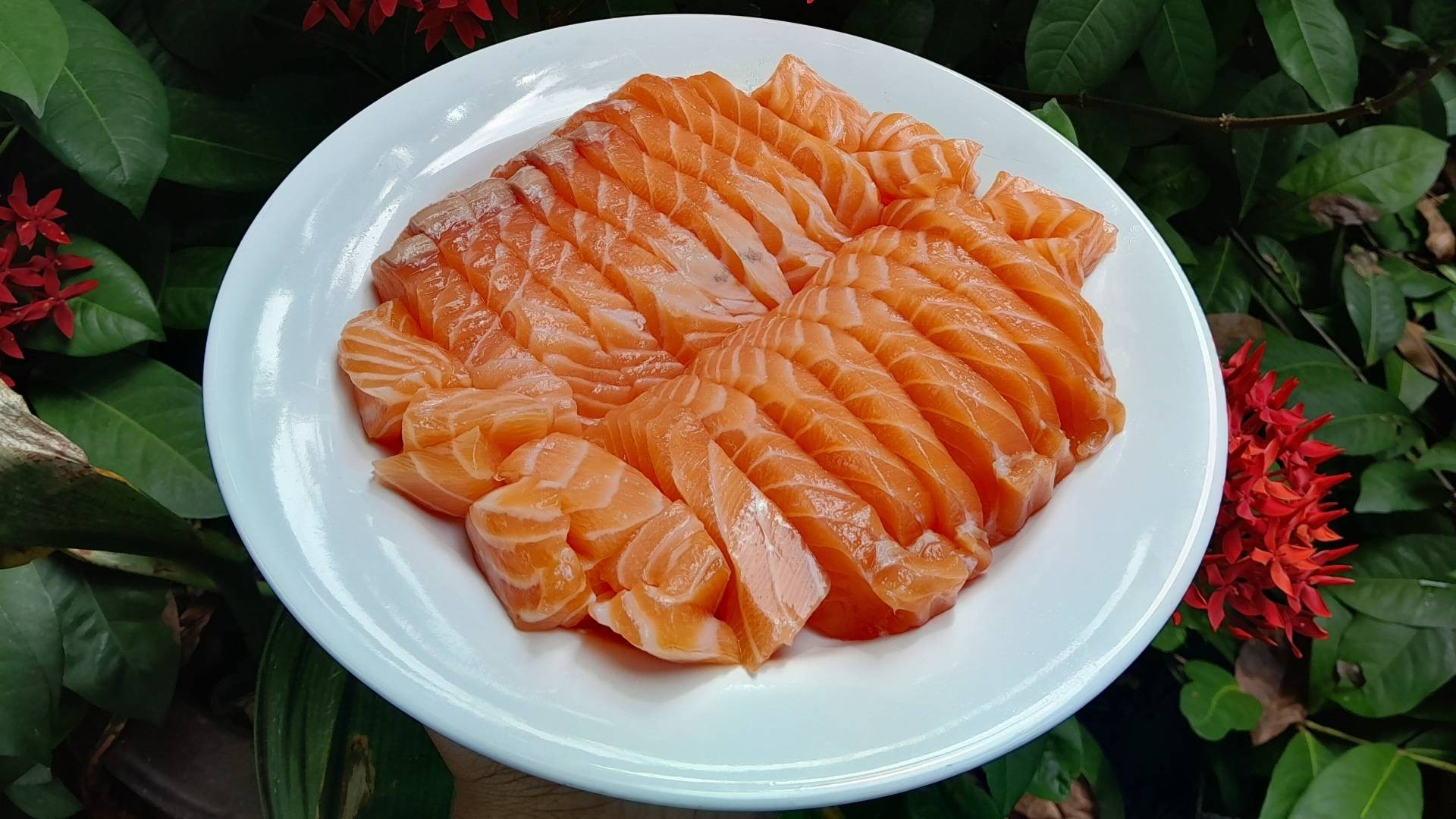 Melt Fresh Salmon เทอดไท - สั่งอาหารเดลิเวอรี | Wongnai x LINE MAN