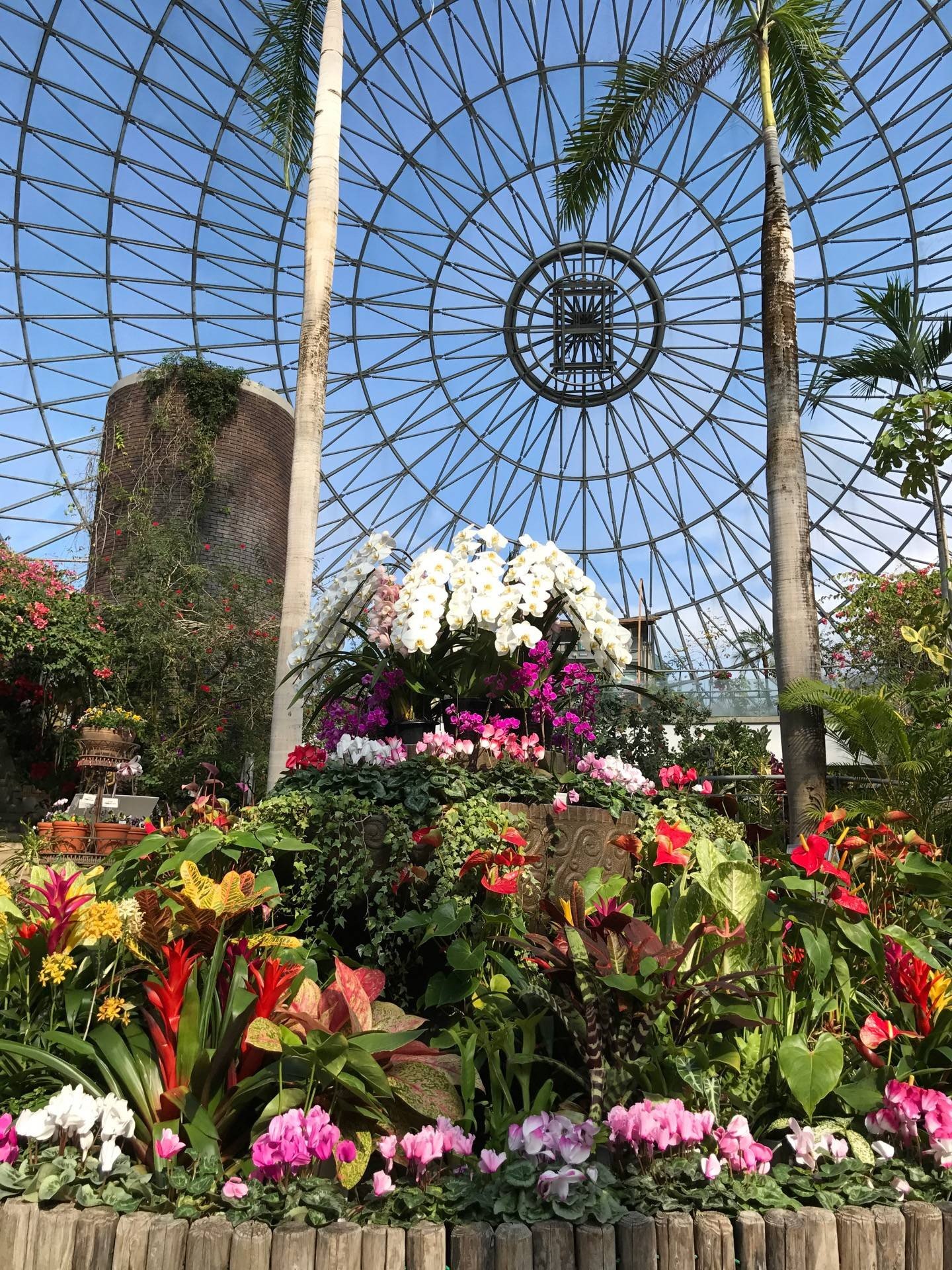 Tottori Hanakairo-Flower Park - รีวิวสถานที่ท่องเที่ยว