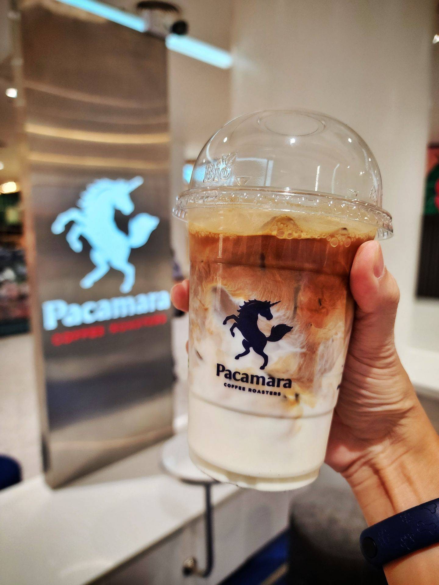 รีวิว PACAMARA เซ็นทรัล พระราม2 - ☕ Pacamara Coffee Roasters 🐴🐎 กาแฟม้า ...