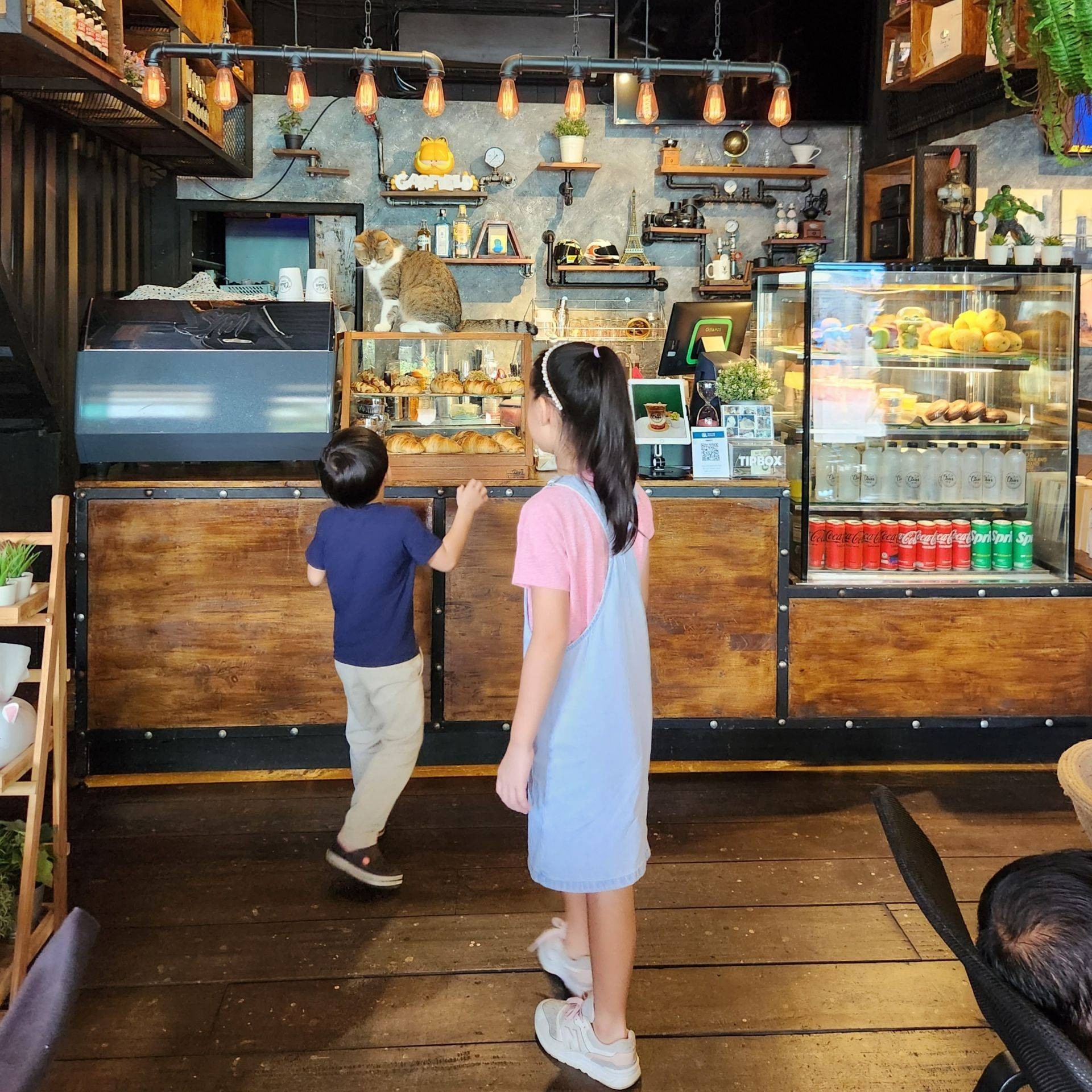 รีวิว Clever Cafe' คาเฟ่แมวที่ไม่ได้มีดีแค่แมว เข้าใจว่าเปิดมาซักพัก