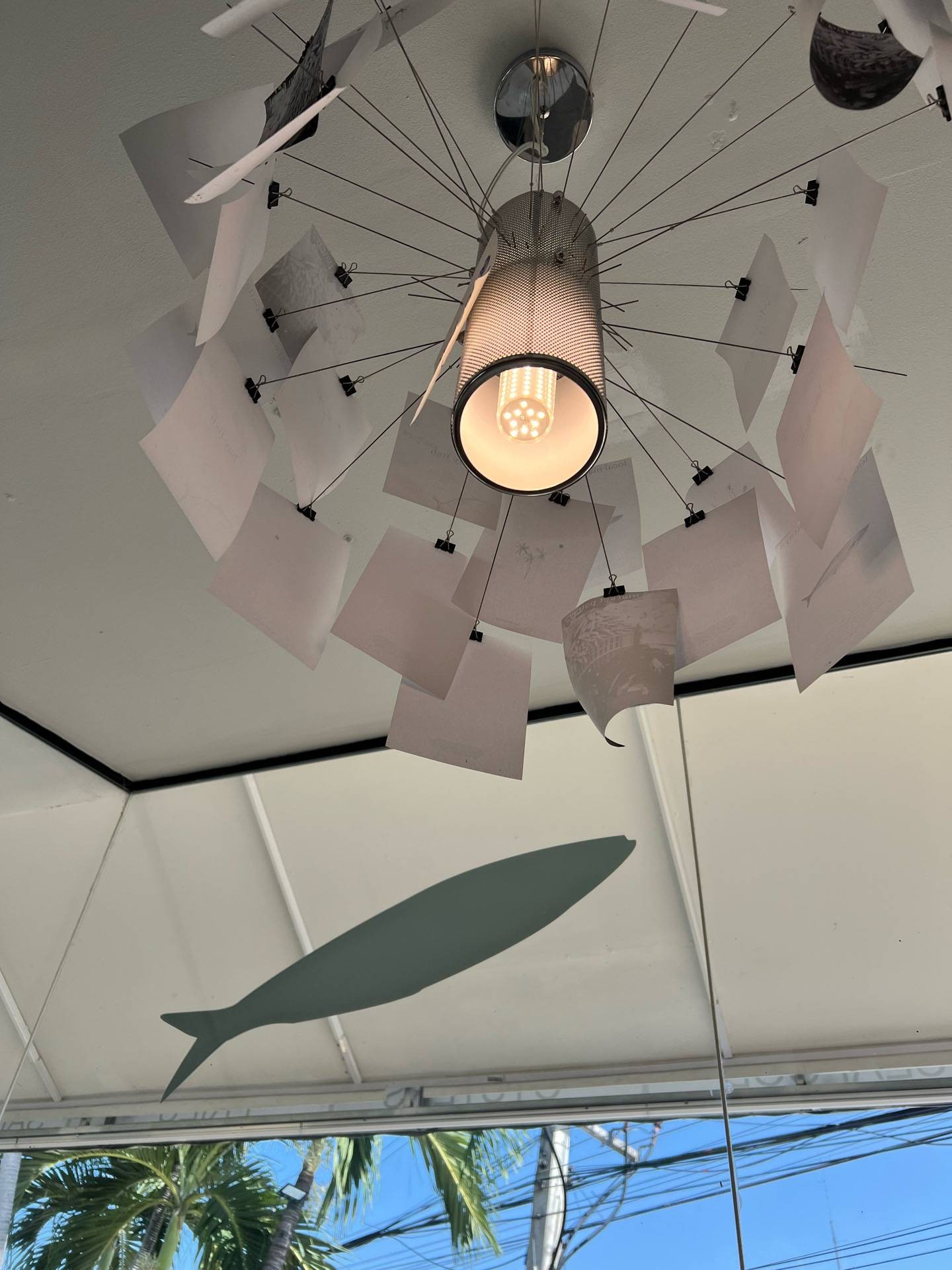 รูป Bay Fish Pattaya