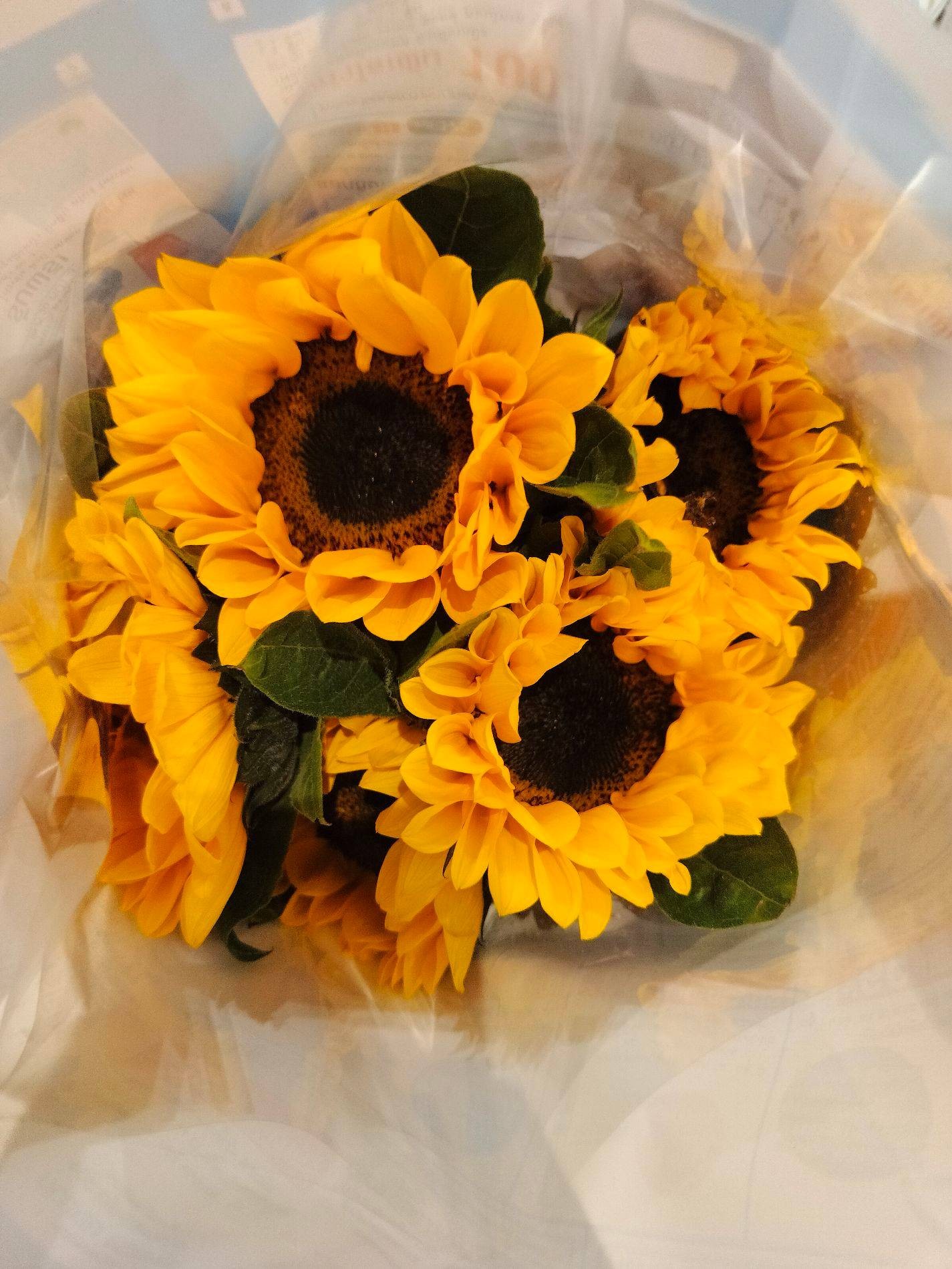 ไรเน่ฟลาเวอร์แอนด์เวดดิ้งเฮาส์ สั่งอาหารออนไลน์ล่วงหน้า รับที่ร้าน