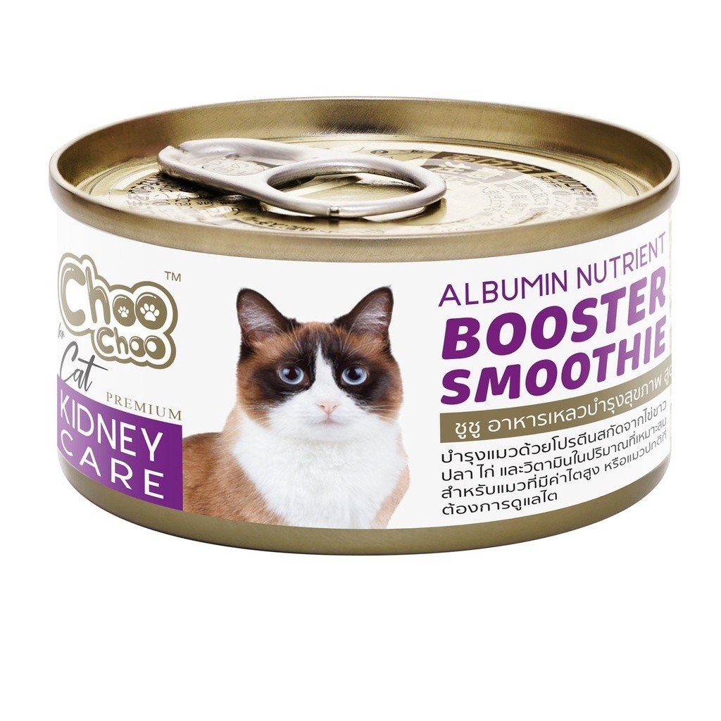 ChooChoo Booster Smoothie Kidney Care