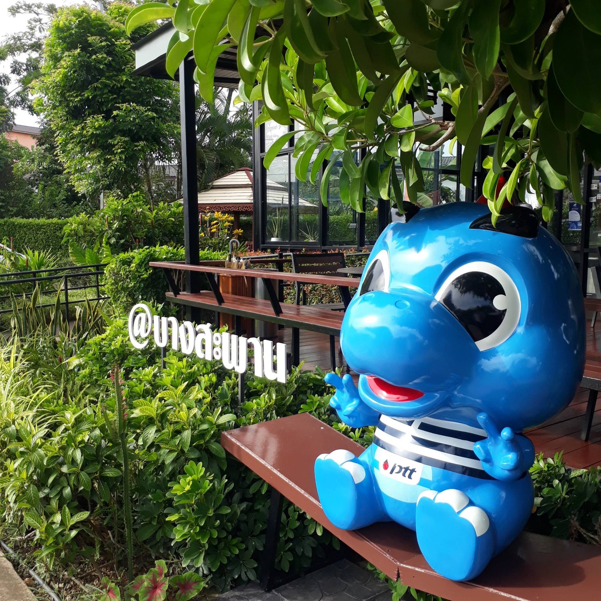 รีวิว Café Amazon - DD211 หจก. บางสะพานปิโตรเลียม - 🍂 Café Amazon ...