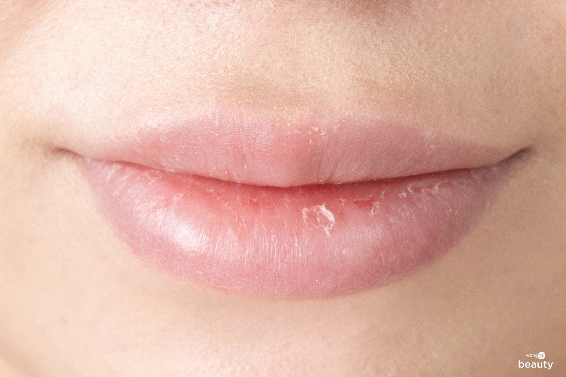 Mentholatum Lip Perfector Serum