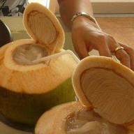 ดอกแก้วเทอเรซ