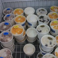 เตี๋ยวหมู scuba