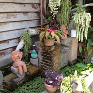 Inthanon Coffee Road