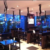 daruma พัทยา