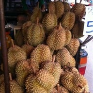 ทุเรียนหมอนทอง