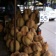 ทุเรียนหมอนทอง