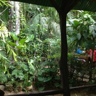 บ้านสวนกล้วยไม้