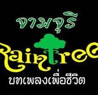 Raintree (จามจุรี) ผับเพื่อชีวิต