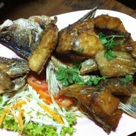 พลอย พระราม 2
