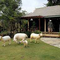 กาแฟคนรักษ์สวน