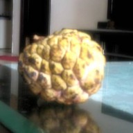 Tropical Monkey Boutique Ice Cream Cafe