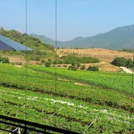 เดอะศาลา ไร่องุ่นหัวหินฮิล
