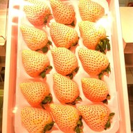 Sun Fruits Mitsukoshi, Ginza