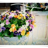 Pan & Ko Mega Bangna