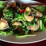 มัจฉาพาโชคฟาร์ม