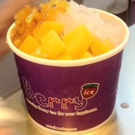 Berry Ice Lamthong Plaza