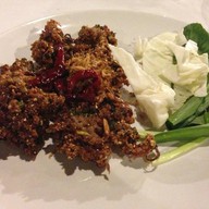 Cicada cuisine