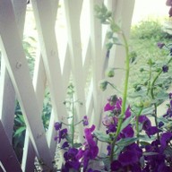 สี่แยก กาแฟสด