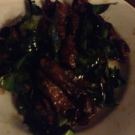 ร้านอาหารแมกไม้