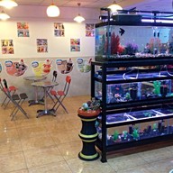 Coffee milk - Comics zone