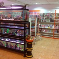 Coffee milk - Comics zone