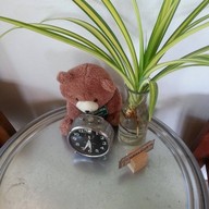 กาแฟคนรักษ์สวน