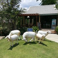 กาแฟคนรักษ์สวน