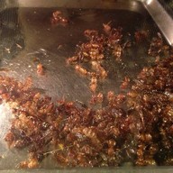 รวมแมลงพิษณุโลก