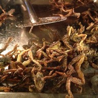 รวมแมลงพิษณุโลก