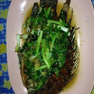 คร๊าฟ คราฟปลาเผา