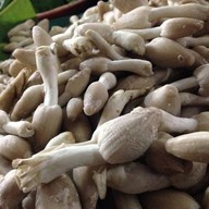 ตลาดสดแม่เหียะ