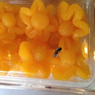 คุณตุ้มขนมไทย ตลาดธนบุรี สนามหลวง2