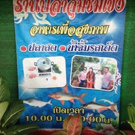 ปลาจุ่มชมโขง