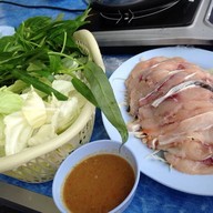 ปลาจุ่มชมโขง