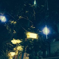 ครัวบินหลา อาหารป่า