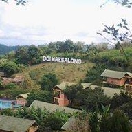 ร้านอาหารแม่สลอง