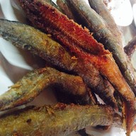 อาหารป่า ต้นโพธิ์