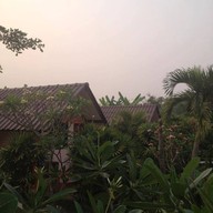 ต้นพร้าวรีสอร์ท