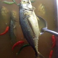 ครัวปากพนัง รามอินทรา 109