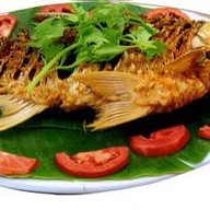 เพลินวาริน