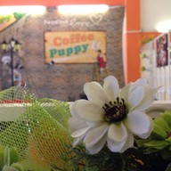 Coffee & Puppy แจ้งวัฒนะ