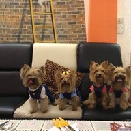 Coffee & Puppy แจ้งวัฒนะ