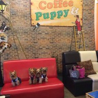 Coffee & Puppy แจ้งวัฒนะ